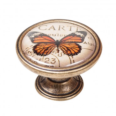 Bouton Papillon Orange